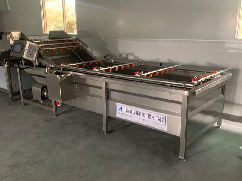 Fujian bamboo shoots customer processing site